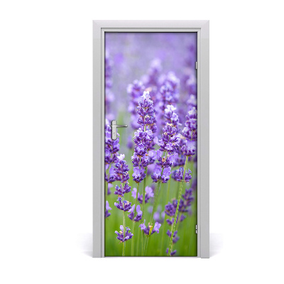 Door adhesive Lavender field