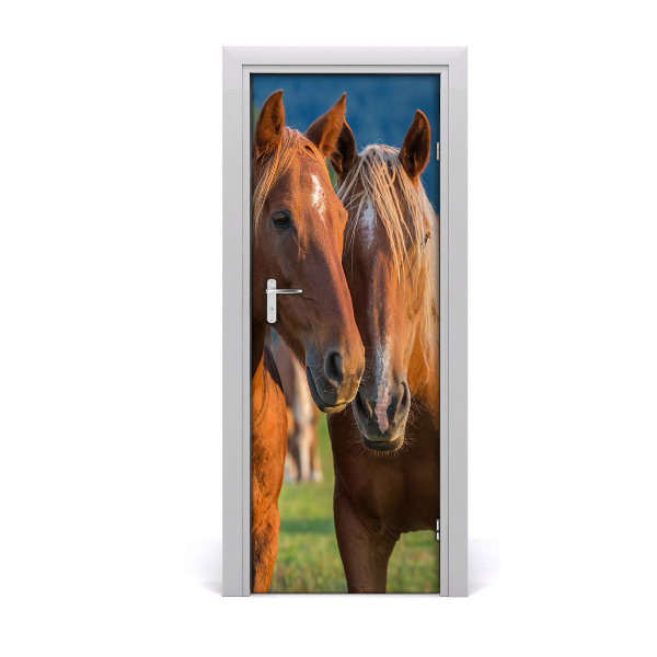 Self-adhesive door sticker Wall two horses