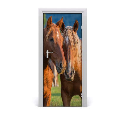 Self-adhesive door sticker Wall two horses