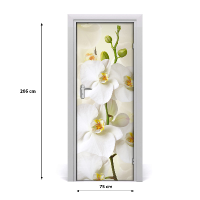 Door adhesive White orchid