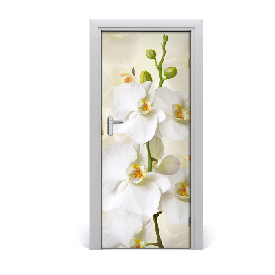 Door adhesive White orchid