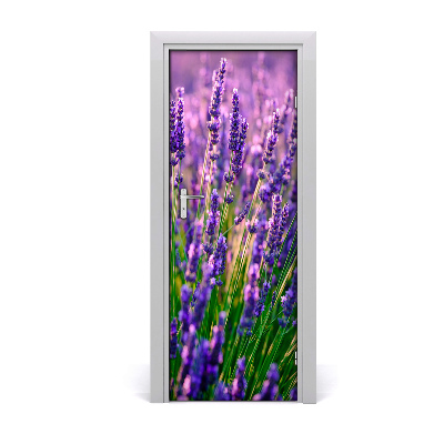 Door adhesive Lavender field