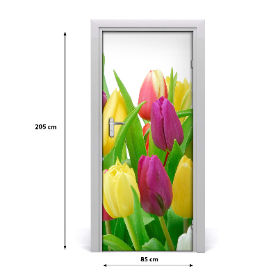 Door adhesive Flowers of tulips