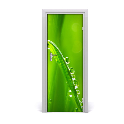 Door adhesive Blades of grass