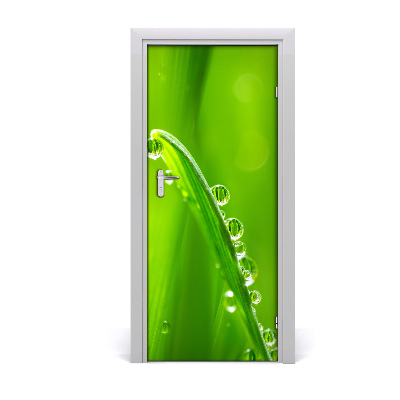 Door adhesive Blades of grass