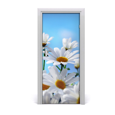 Door adhesive Daisies