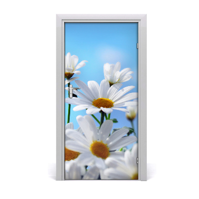 Door adhesive Daisies