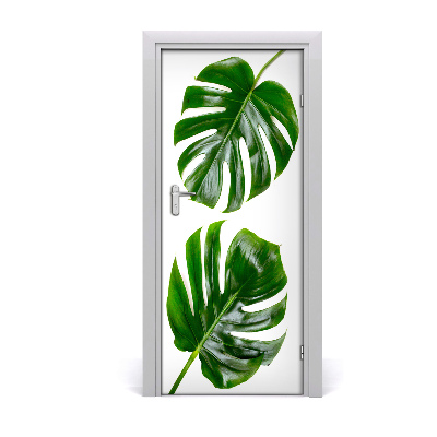 Self-adhesive door veneer Monstera