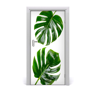 Self-adhesive door veneer Monstera