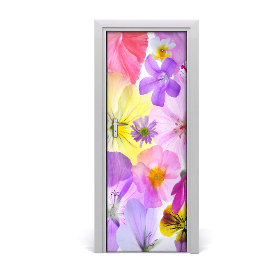 Self-adhesive door veneer Colorful flowers