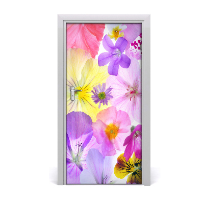 Self-adhesive door veneer Colorful flowers