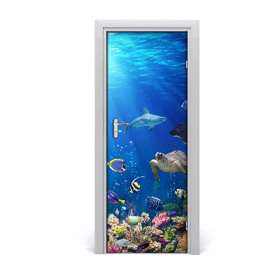 Door wallpaper Coral reef