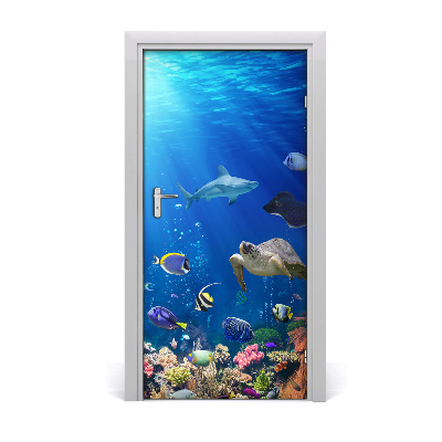 Door wallpaper Coral reef