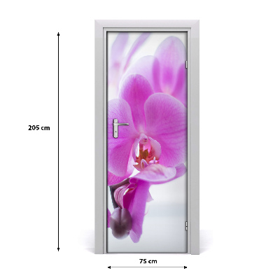 Self-adhesive door veneer Pink orchid