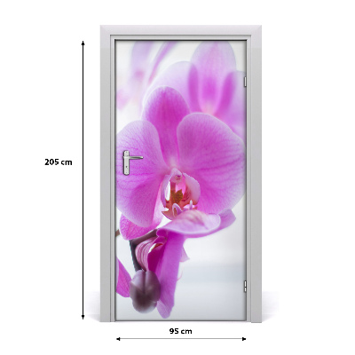 Self-adhesive door veneer Pink orchid