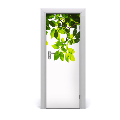 Self-adhesive door veneer Green leaves