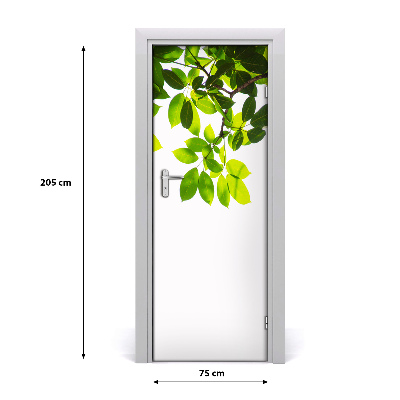 Self-adhesive door veneer Green leaves