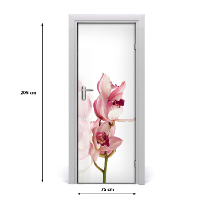 Self-adhesive door veneer Pink orchid