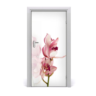 Self-adhesive door veneer Pink orchid