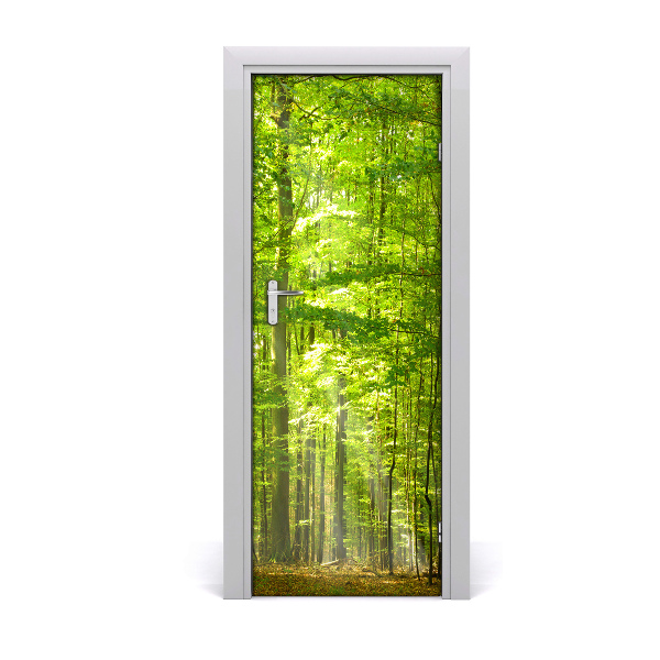 Door wallpaper Landscapes beech forest