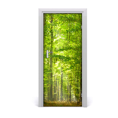 Door wallpaper Landscapes beech forest