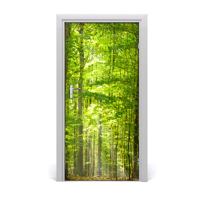 Door wallpaper Landscapes beech forest