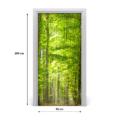 Door wallpaper Landscapes beech forest