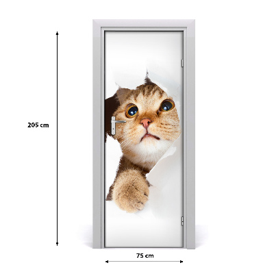 Self-adhesive door sticker Wall cat