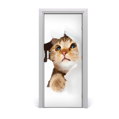 Self-adhesive door sticker Wall cat