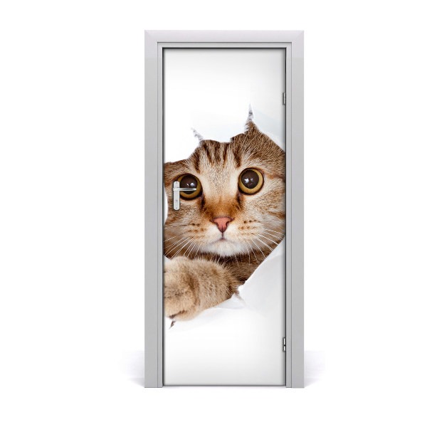 Self-adhesive door sticker Wall cat