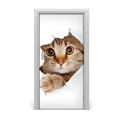 Self-adhesive door sticker Wall cat