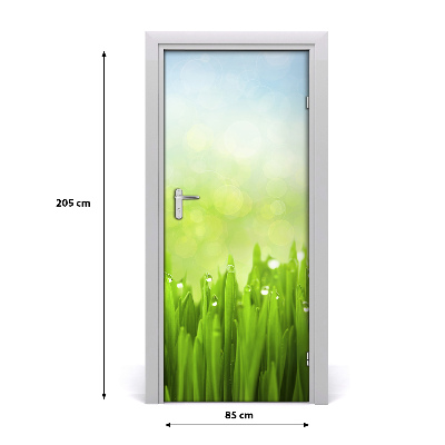 Self-adhesive door veneer Grass