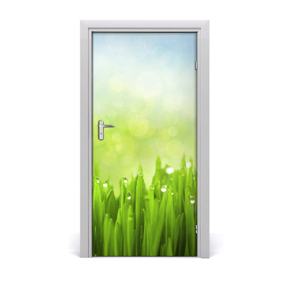 Self-adhesive door veneer Grass