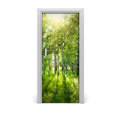 Door wallpaper Birch forest