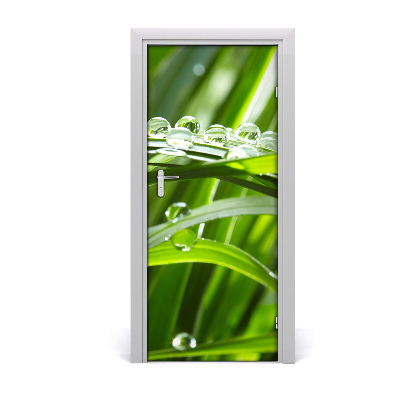 Self-adhesive door veneer Blades of grass