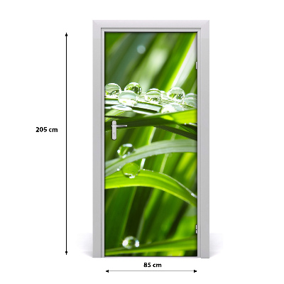 Self-adhesive door veneer Blades of grass