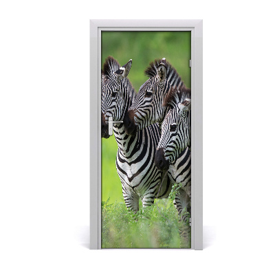 Self-adhesive door sticker The wall three zebras