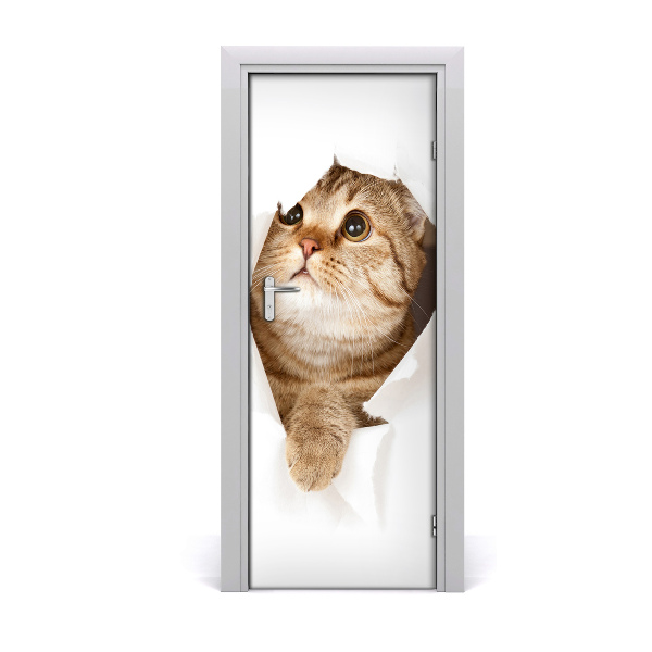 Self-adhesive door sticker Wall cat