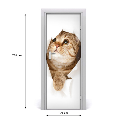 Self-adhesive door sticker Wall cat