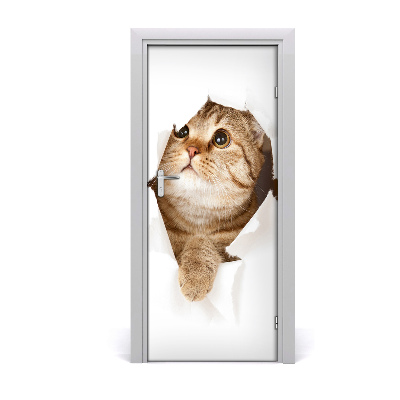 Self-adhesive door sticker Wall cat