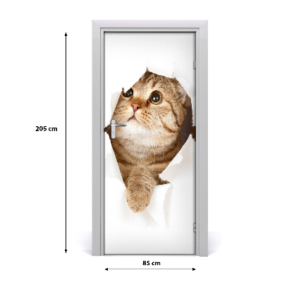 Self-adhesive door sticker Wall cat