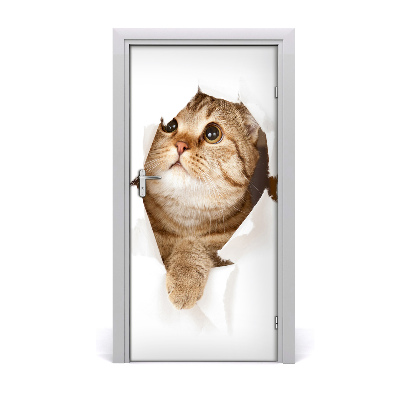 Self-adhesive door sticker Wall cat