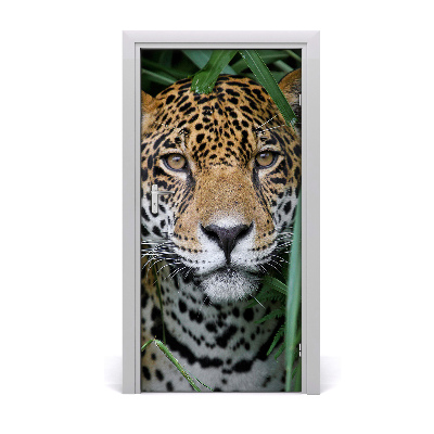 Self-adhesive door wallpaper Jaguar in amazon