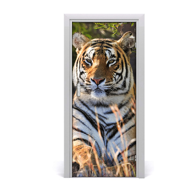 Self-adhesive door sticker Tigris wall