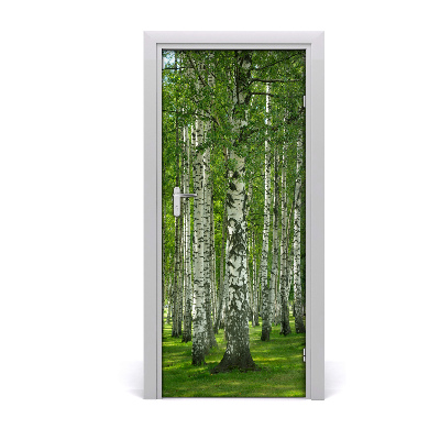 Door wallpaper Birch forest