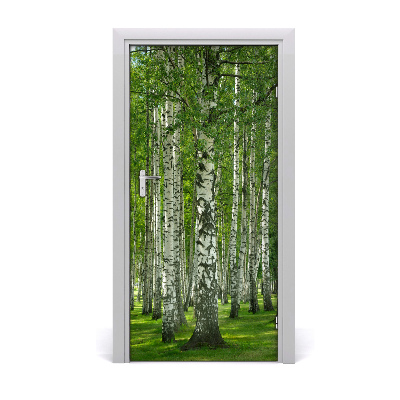 Door wallpaper Birch forest