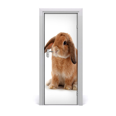 Self-adhesive door sticker Rabbit wall