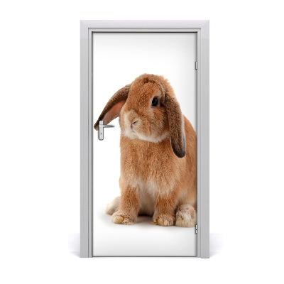 Self-adhesive door sticker Rabbit wall