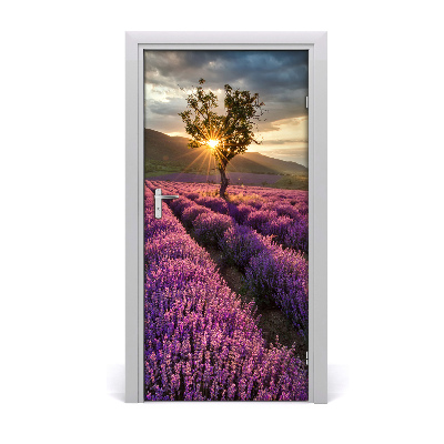 Door wallpaper Lavender field