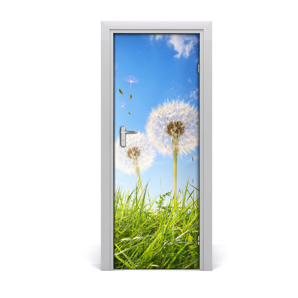 Self-adhesive door sticker Dandelions in the meadow